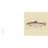 troutipad