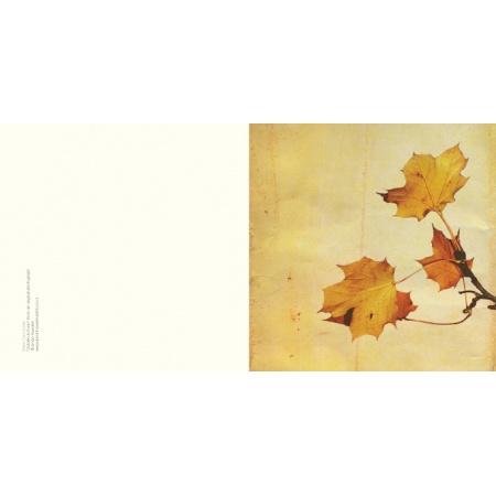 g_autumn